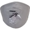 masken-und-schutz-grau-der-mascarilla-reutilizable-gris-unicornio-living-legend-the-farm-von-goorin-bros