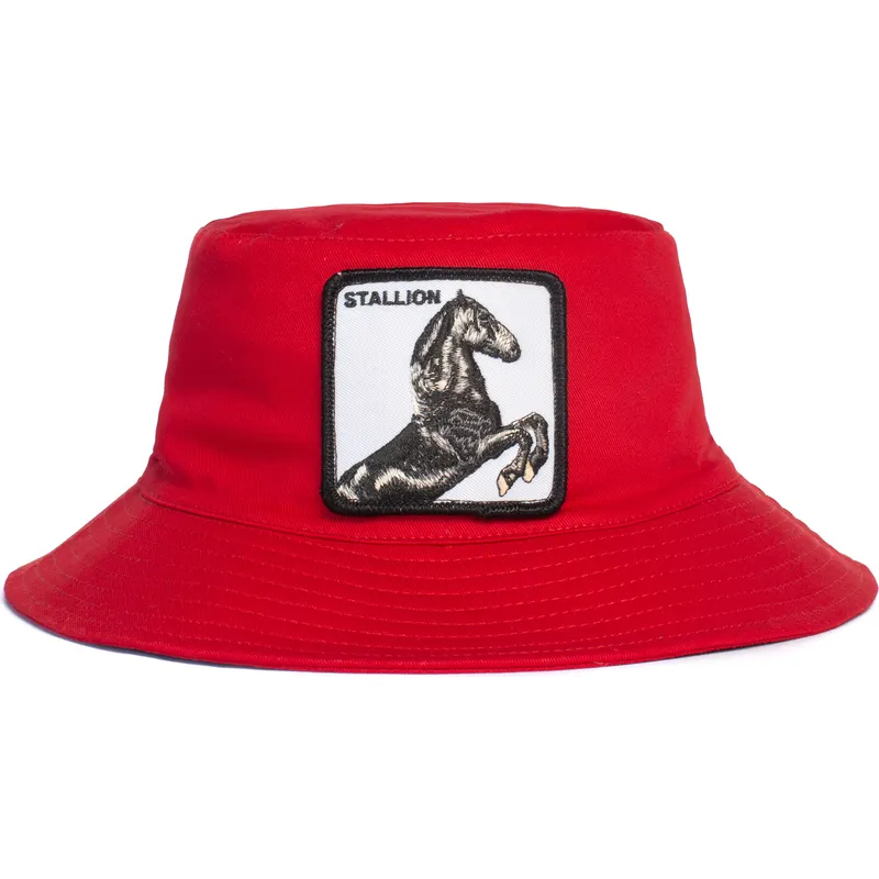 bucket-rot-pferd-stallion-i-m-a-little-hoarse-the-farm-von-goorin-bros bucket-rot-pferd-stallion-i-m-a-little-hoarse-the-farm-von-goorin-bros