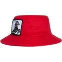 bucket-rot-pferd-stallion-i-m-a-little-hoarse-the-farm-von-goorin-bros