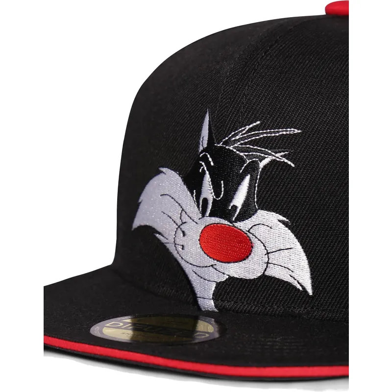 mutzen-flach-schwarz-snapback-von-difuzed mutzen-flach-schwarz-snapback-von-difuzed