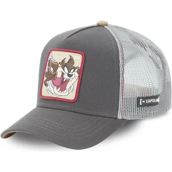 mutzen-gebogen-grau-snapback-diablo-tasmanischer-teufel-looney-tunes-von-capslab