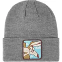 graue-mutze-coyote-bon-coy2-looney-tunes-von-capslab