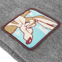 graue-mutze-coyote-bon-coy2-looney-tunes-von-capslab