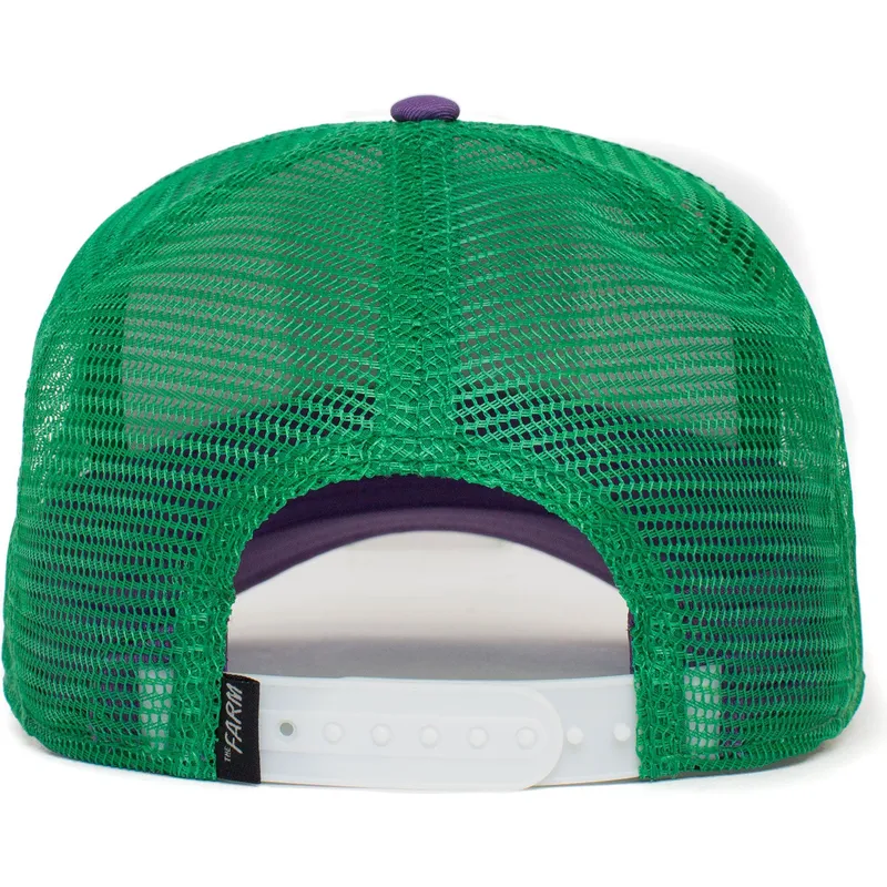 mutzen-gebogen-multicolor-snapback-the-farm-von-goorin-bros