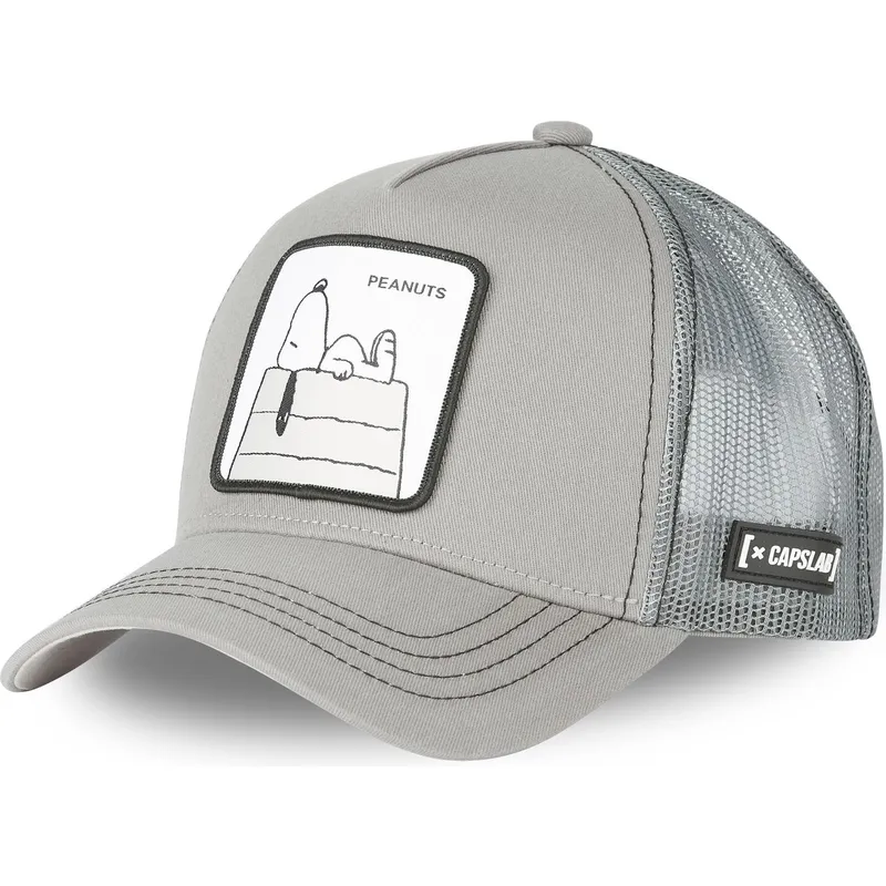 mutzen-gebogen-grau-snapback-snoopy-erdnusse-von-capslab