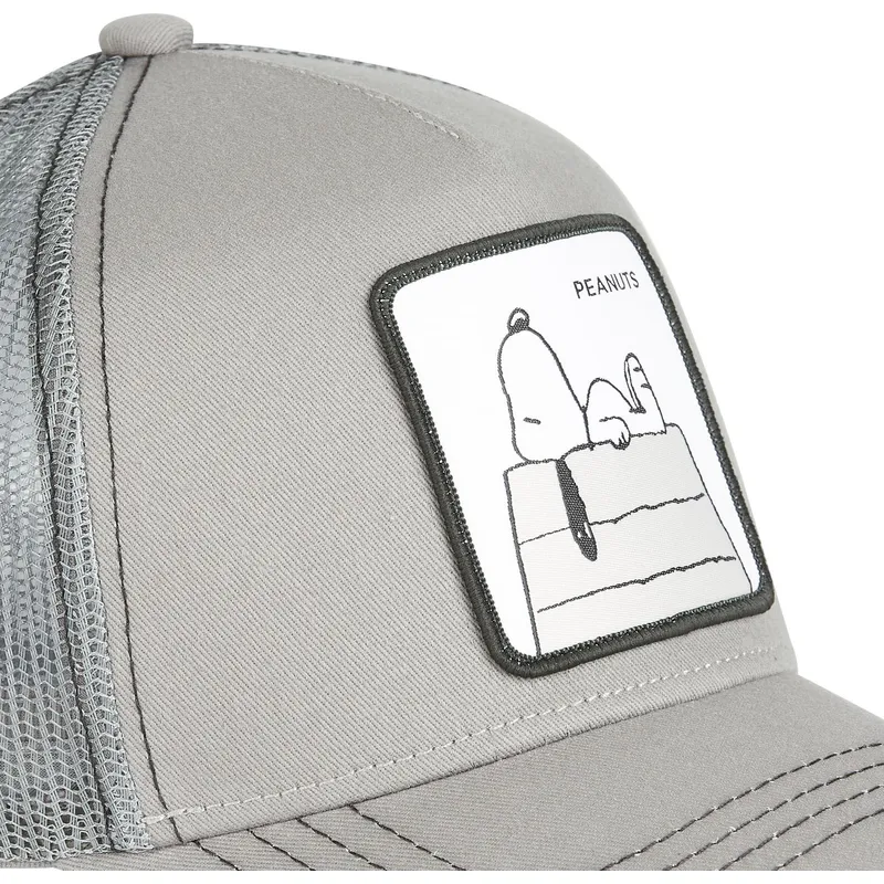 mutzen-gebogen-grau-snapback-snoopy-erdnusse-von-capslab