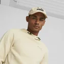 gebogene-beige-verstellbare-kappe-essentials-no1-von-puma