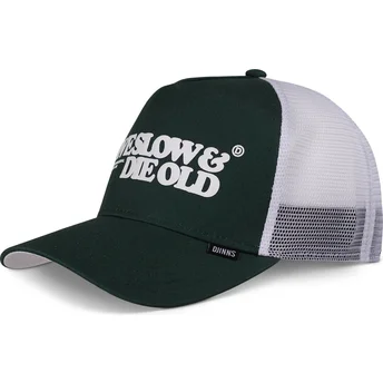 Mützen gebogen grün snapback Live Slow & Die Old HFT LSDO von Djinns
