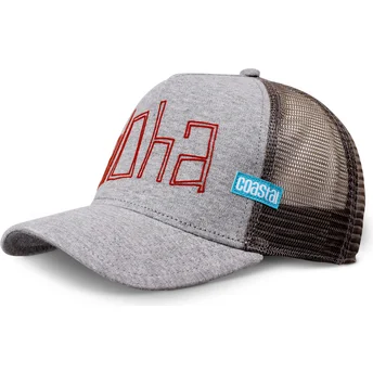 Mützen gebogen grau snapback Aloha Jersey HFT von Coastal
