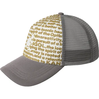 Mützen gebogen grau snapback Fine Print von Kangol