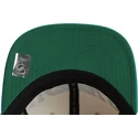 casquette-plate-verte-et-beige-snapback-across-the-board-anaheim-ducks-nhl-mitchell-ness