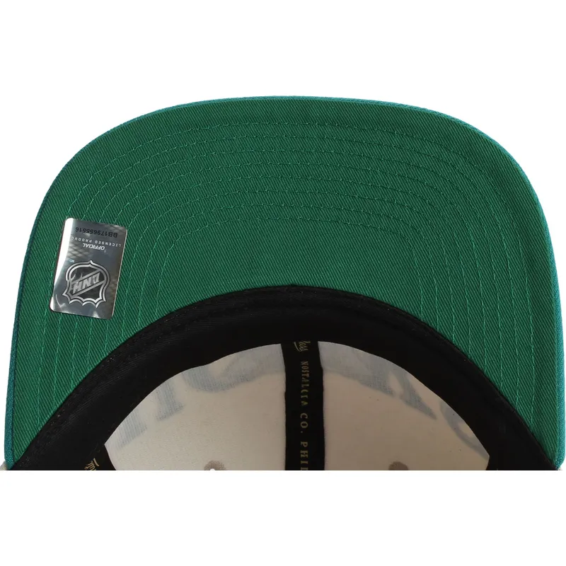 grune-und-beige-flatcap-snapback-across-the-board-von-anaheim-ducks-nhl-von-mitchell-ness