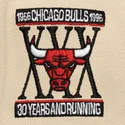 schwarze-und-beige-across-the-board-snapback-flatcap-der-chicago-bulls-nba-von-mitchell-ness