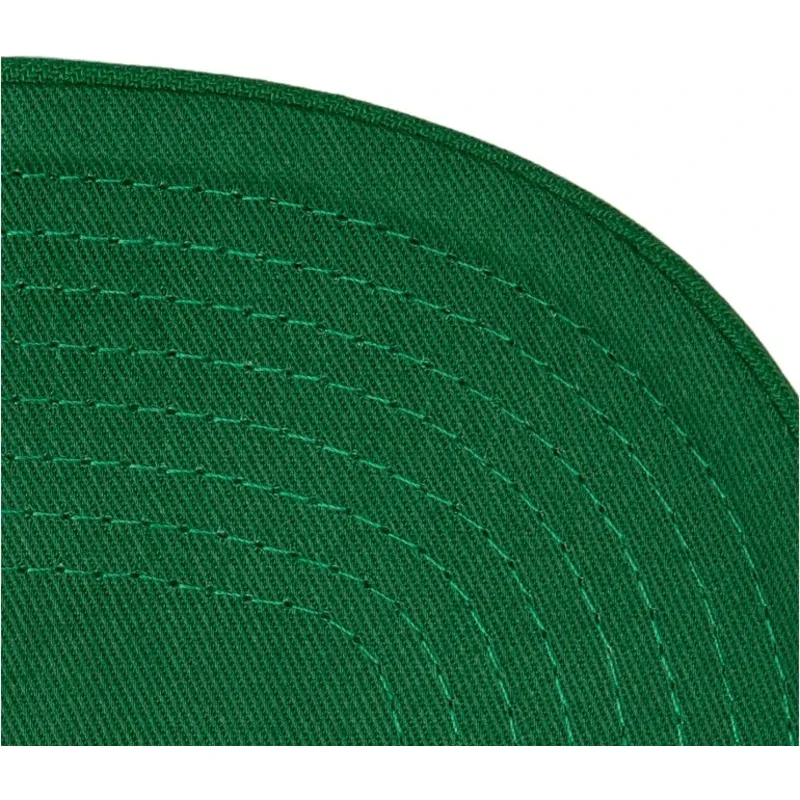 grune-gebogene-snapback-kappe-team-2-tone-20-pro-der-boston-celtics-nba-von-mitchell-ness