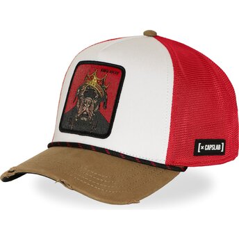 Mützen gebogen mehrfarbig snapback Big Boy BIGB Hip Hop Dogz von Capslab
