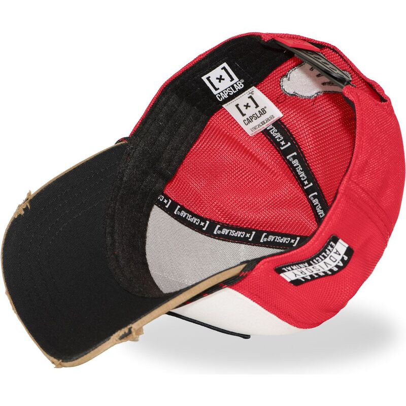 mehrfarbige-trucker-kappe-big-boy-hip-bigb-hip-hop-dogz-von-capslab mehrfarbige-trucker-kappe-big-boy-hip-bigb-hip-hop-dogz-von-capslab