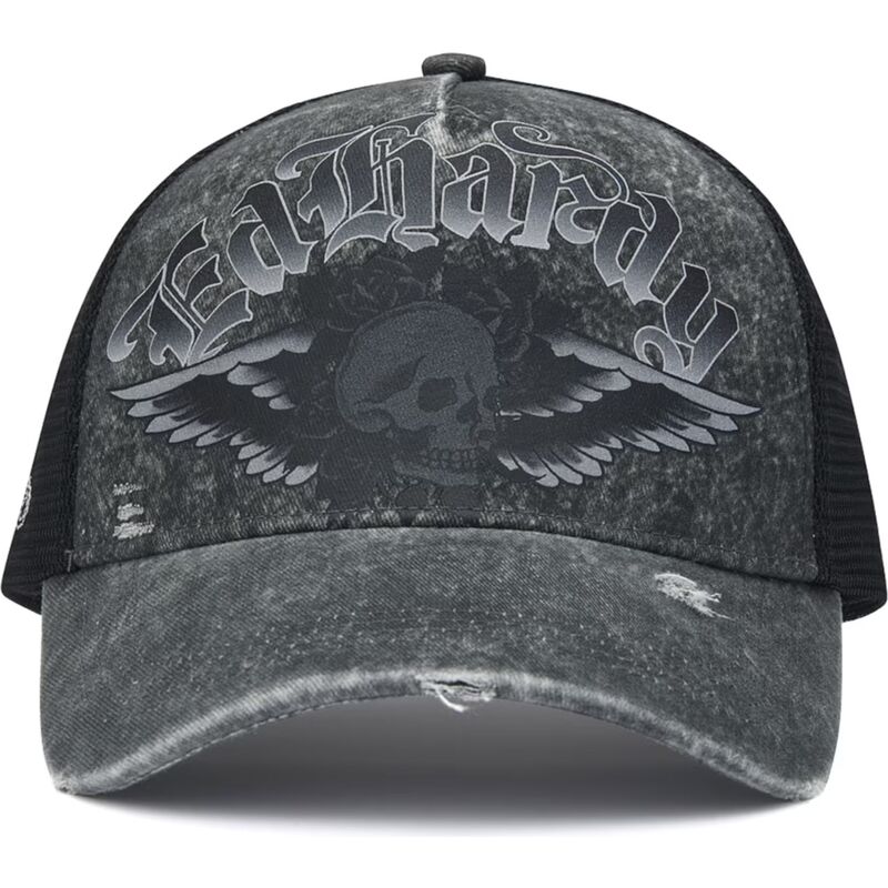 mutzen-gebogen-grau-snapback-flaming-gothic-skull-washed-von-ed-hardy