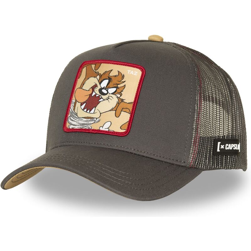 mutzen-gebogen-braun-snapback-tasmanischer-teufel-looney-tunes-von-capslab