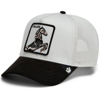 Mützen gebogen grau snapback Suede Stallion Microsuede The Farm Goorin Bros.
