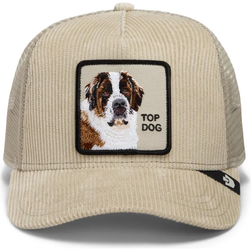 mutzen-gebogen-beige-snapback-corduroy-top-dog-ridgeline-the-farm-goorin-bros